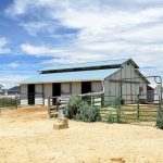 horse barn at at Perfect Lane Ranch